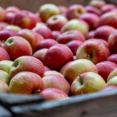 Äpfel