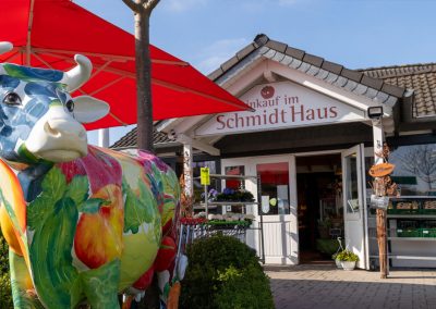 Link SchmidtHaus